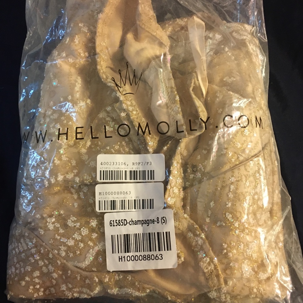 hello molly champagne dress